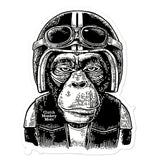Clutch Monkey Moto Sticker, Sticker, Clutch Monkey Moto, Clutch Monkey Moto