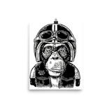 Barry the Monkey Poster, Poster, Clutch Monkey Moto, Clutch Monkey Moto 